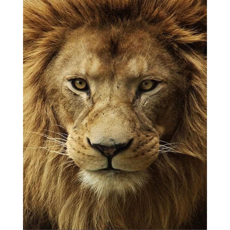 5D DIY Diamond Painting Animal Africa Lion Diamond Embroidery Cross Stitch Home Decoration 20X30CM