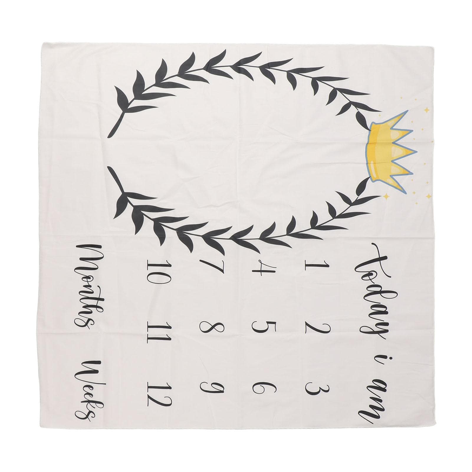 Baby Milestone Blanket Baby Monthly Photo Prop 39.4x39.4 Inch Soft Polyester Milestone Mat for
