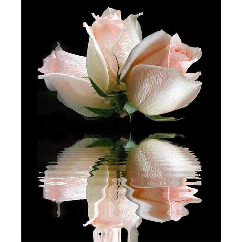 Diamond Embroidery Flower Cross Stitch Crystal full Round Painting Diamond Painting Rose Reflection 20X30CM