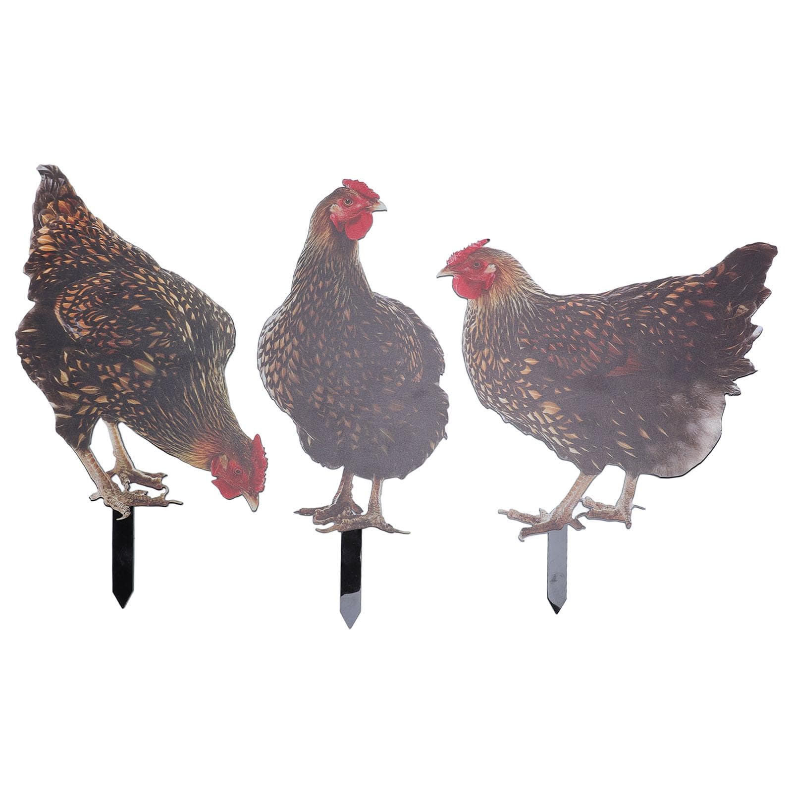 3Pcs Rooster Garden Stake Acrylic Colorful Lifelike Weather Proof Chicken Yard Stake Statue