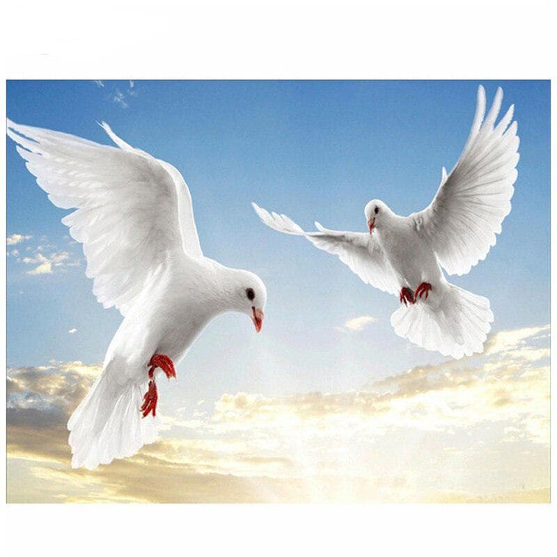 Round Drill 5D Diy Diamond Painting Dove Bird 5d Diamond Embroidery Cross Stitch Wedding Decoration 20X30CM