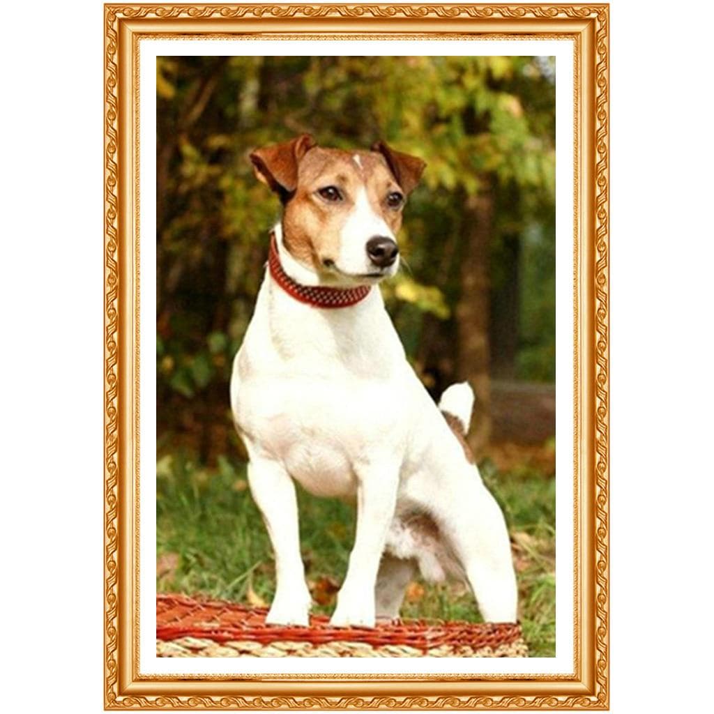Full Diamond Embroidery,Animal Jack Russell Terrier Dog,5Diamond Painting,Cross Stitch,Needlework 20X30CM