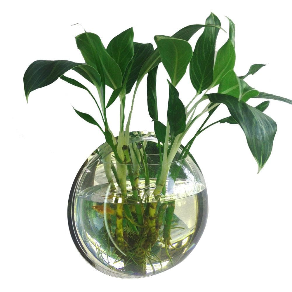 Home Decoration Wall Mount Fish Tanks Goldfish Bowl Acrylic Hanging Aquariums Flowerpot Flower Vase 230mm & type 1