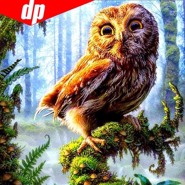 Full Diamond Embroidery Animal Owl 5D Diamond Painting Cross Stitch 25x25