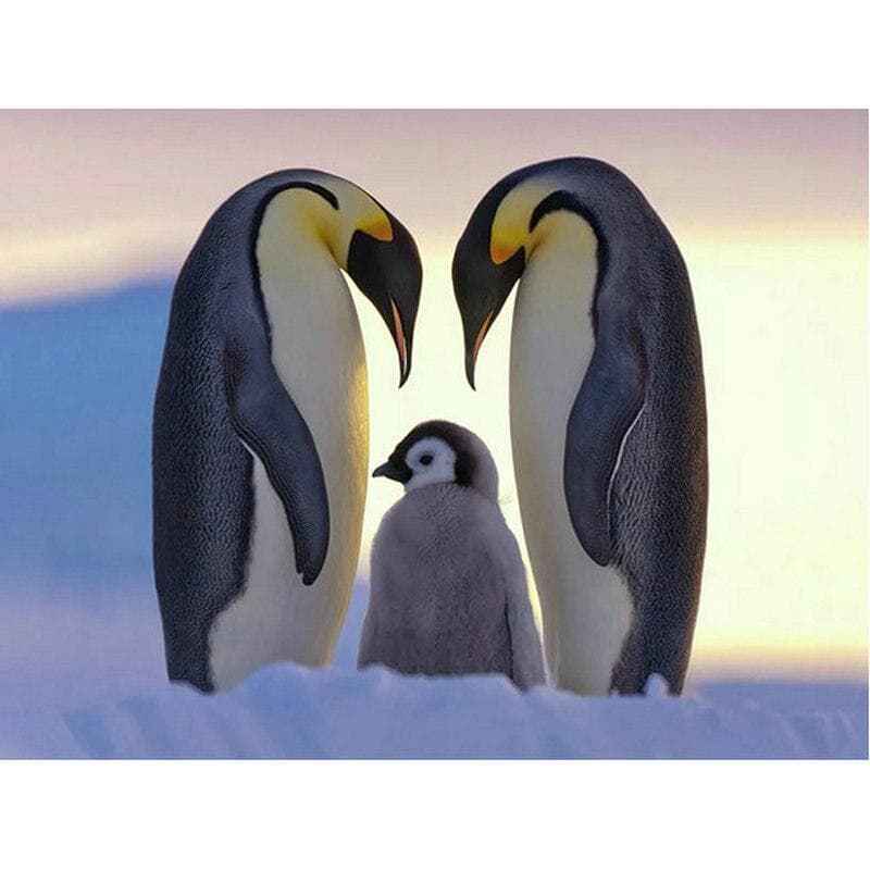 5D Diamond Painting Penguin Full Round Diamond Embroidery Cross Stitch Mosaic Paintings 20X30CM