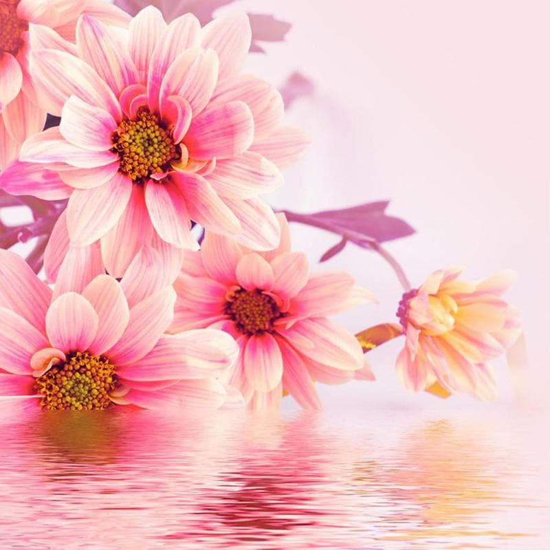 5D Diamond Painting Embroidery Chrysanthemum Diamond Embroidery Diy Handicrafts Diamond Wall Arts 30x30CM