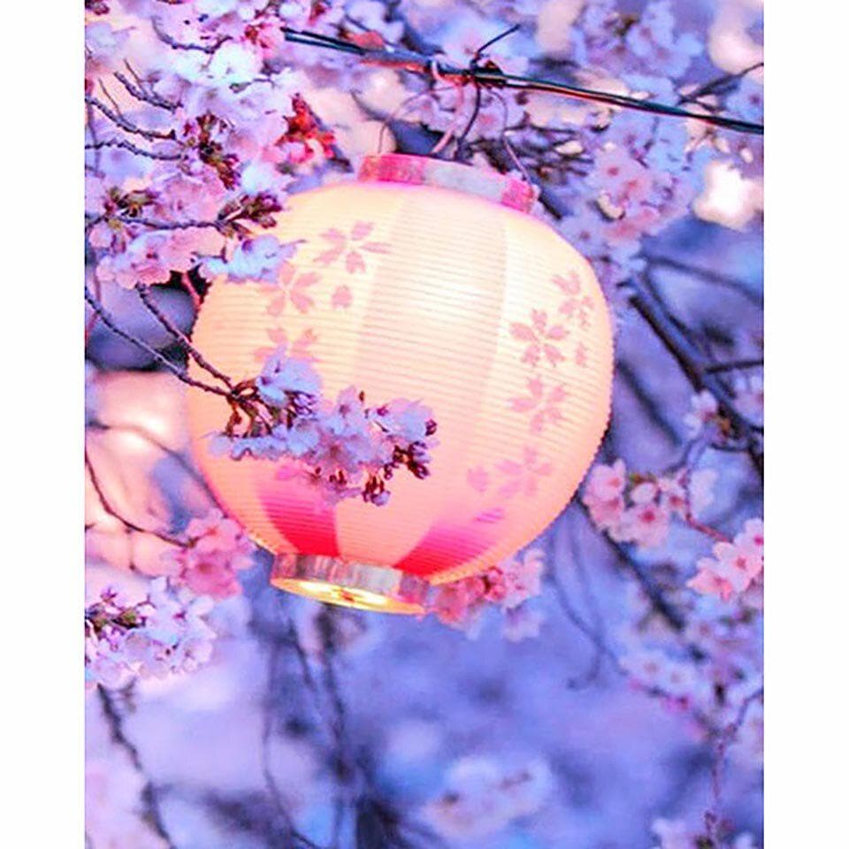 5D DIY Diamond Wall Painting Sticker Suitable Cherry Blossom Picture Full Drill Cross Stitch 20X30CM