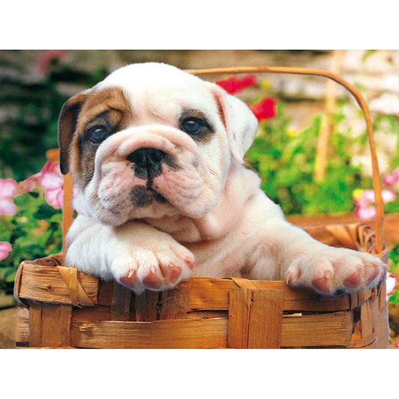 Full Round 5D DIY Diamond Embroidery Cute Little Bulldog Diamond Painting Cross Stitch Rhinestone 20X30CM