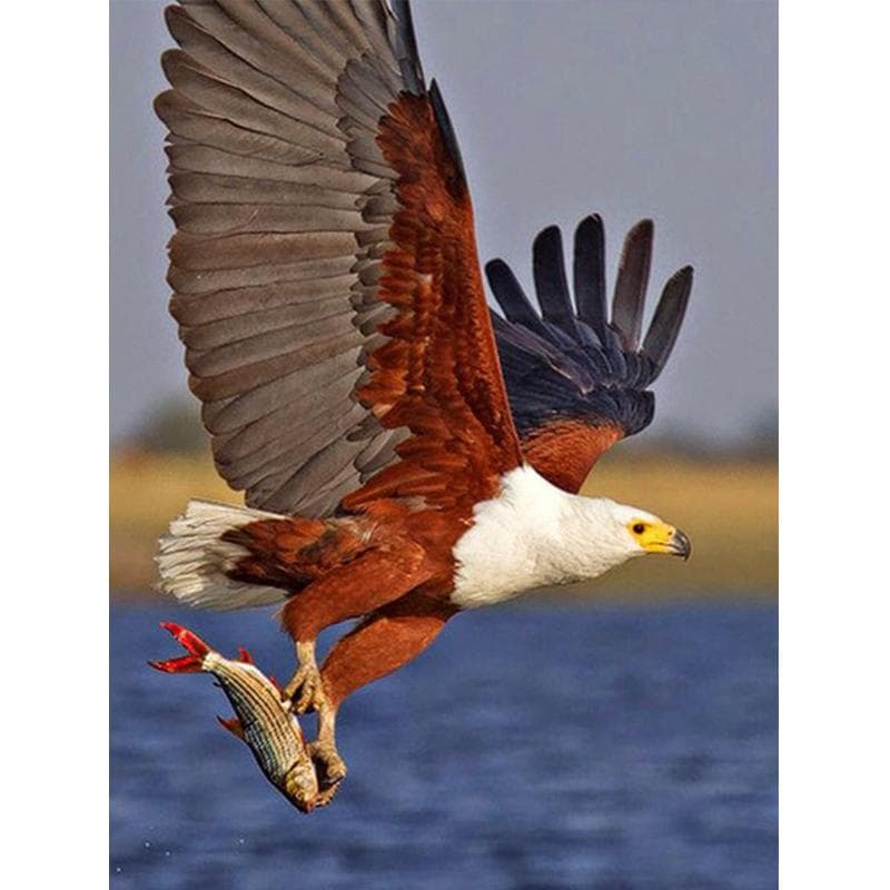 DIY Diamond Painting Eagle Diamond Embroidery Cartoon Diamond Cross Stitch Home Decor 20X30CM