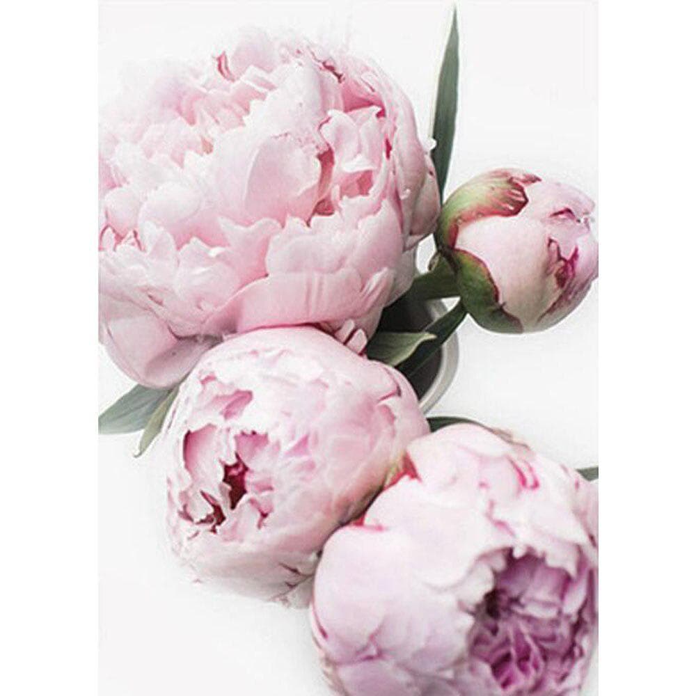 Diamond Paint Round picture peonies Diamond Painting Mosaic Rhinestones Embroidery 20X30CM