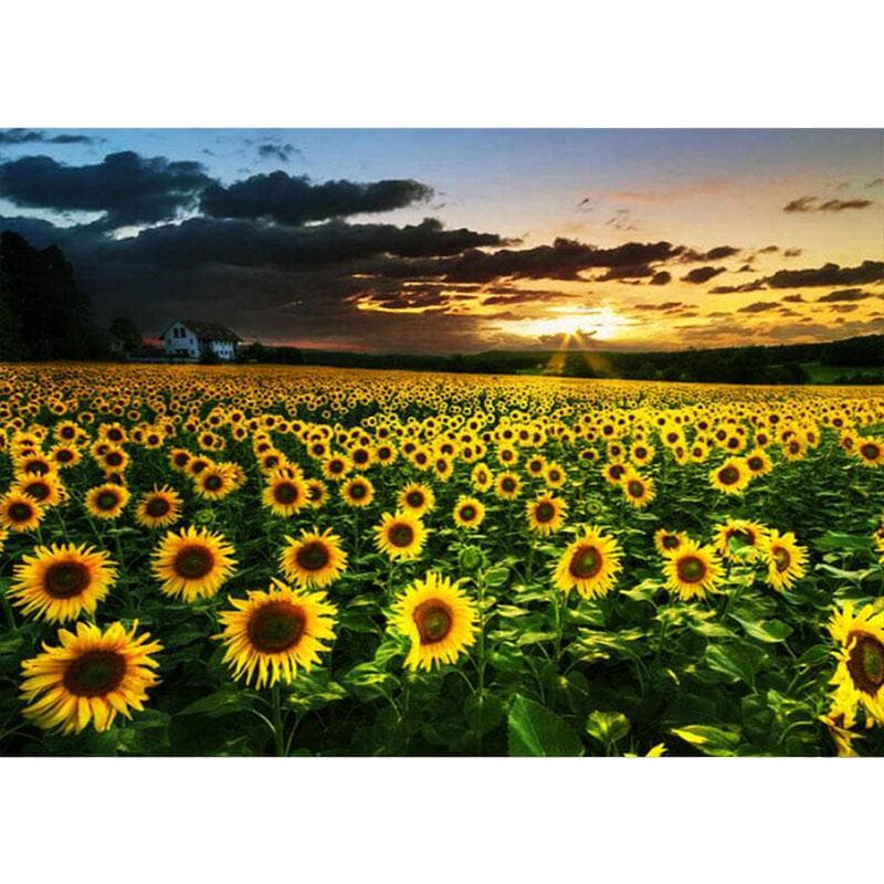 5D DIY Diamond Painting Cross Stitch Flowers Diamond Embroidery 20X30CM