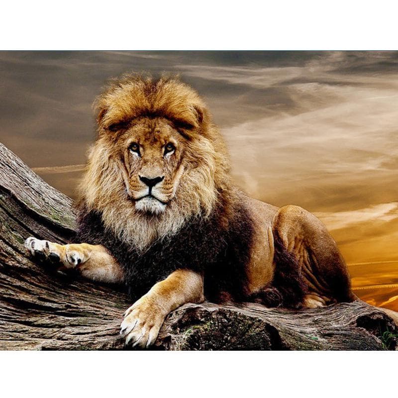 Animals Diamond Painting Colorful Animals Picture Rhinestones Diamond Embroidery 20X30CM