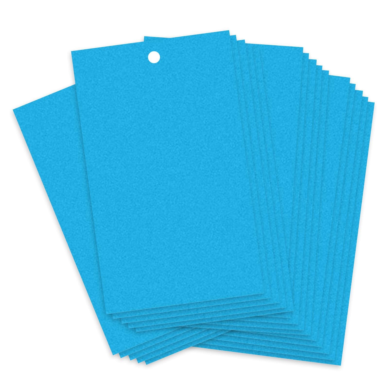 Sticky Traps for Flying Plant Insect Fungus Gnats 20pcs Dual-Sided Flying Insect Traps can 20X10cm blue