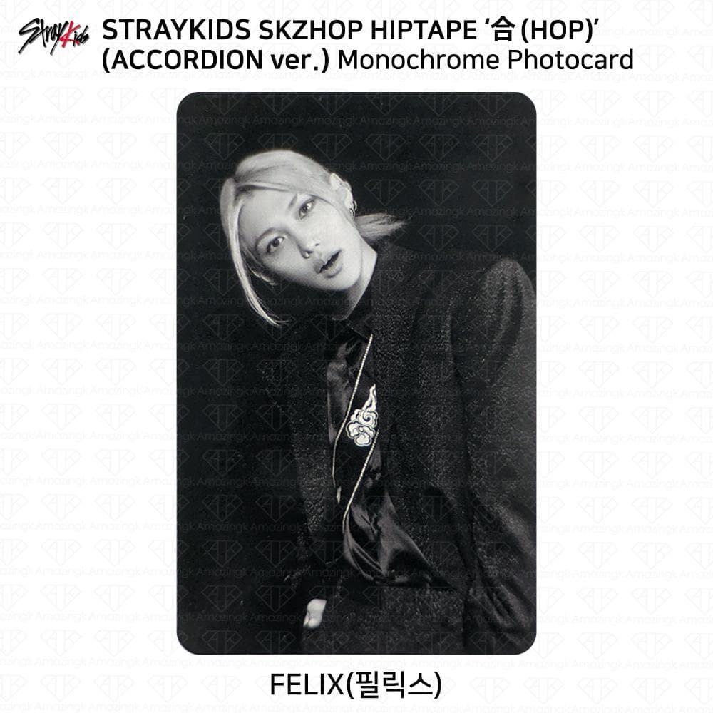 Stray Kids SKZHOP HIPTAPE HOP Accordion Official Photocard Unit Monochrome Felix - Accordion ver #3