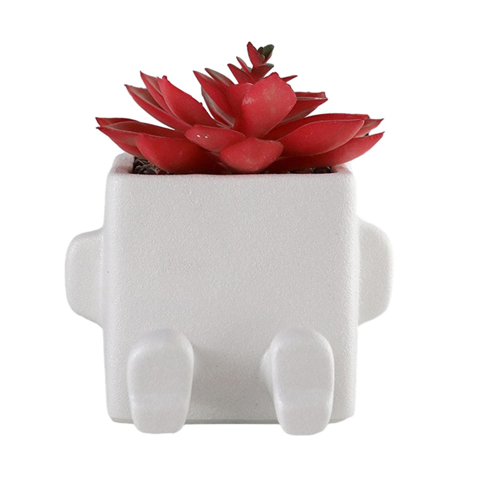 Succulent Planter Cute Ceramic Succulent Plant Pot for Indoor Outdoor Home Decor