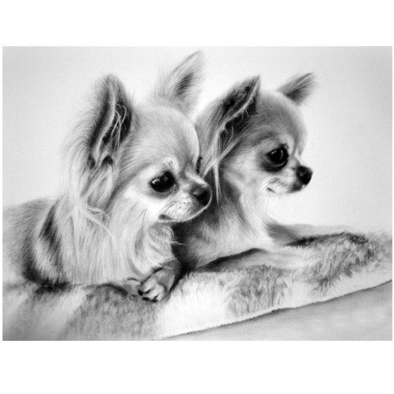 Diamond Painting Cross Stitch Animal Mosaic Full Round Drill Wedding Decoration Diamond Embroidery 20X30CM