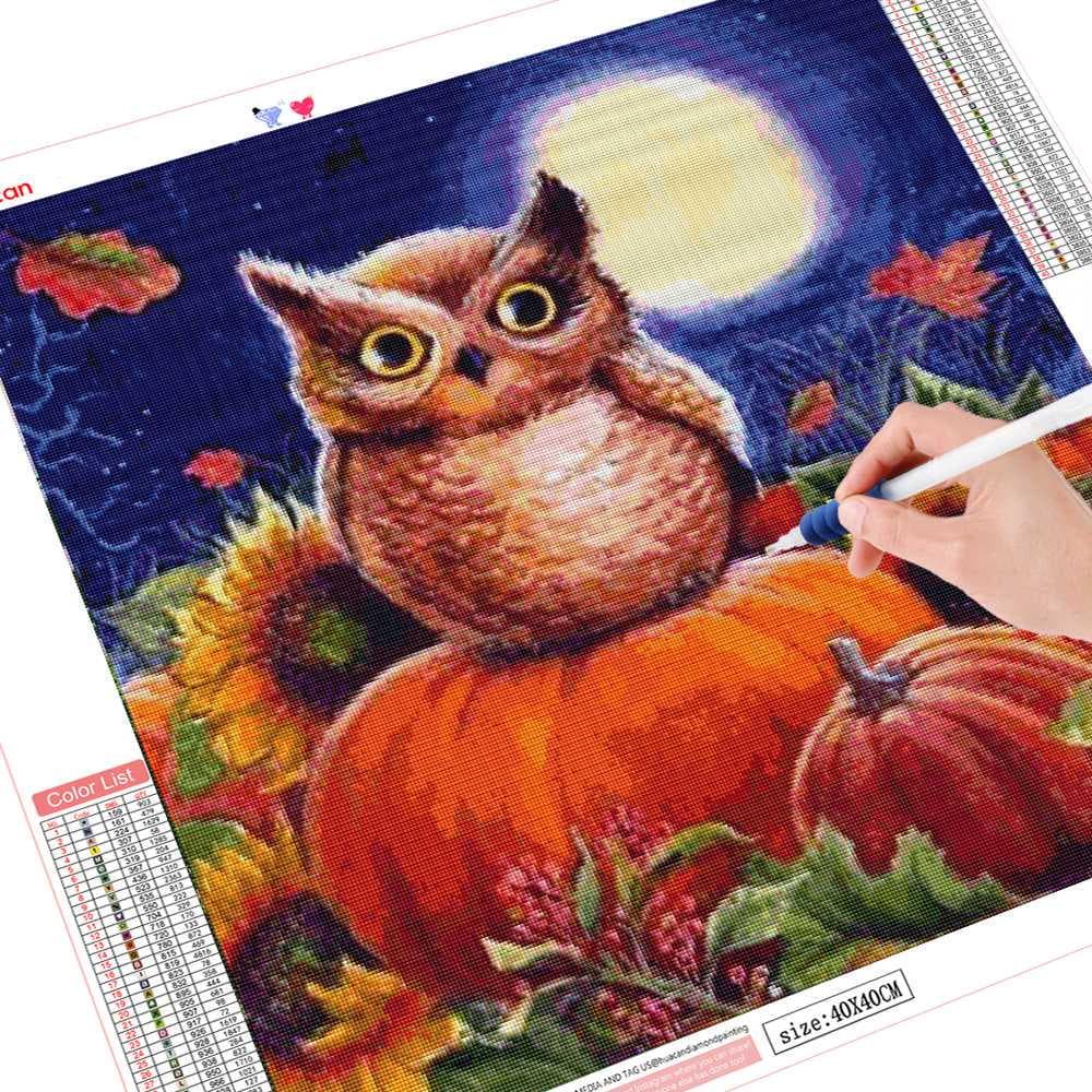 Diamond Painting Full Drill Round Owl Art Diamond Pumpkin Embroidery Rhinestones Picture Halloween 30x30CM