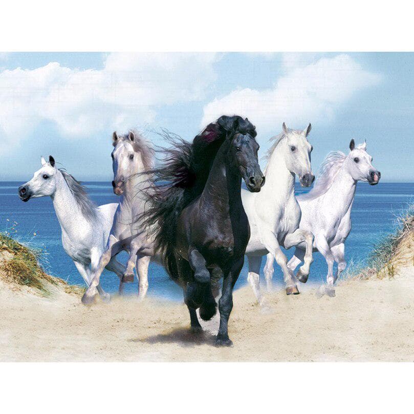 Animal Full Diamond Embroidery 5D Diy Diamond Painting Black and White Horse 20X30CM