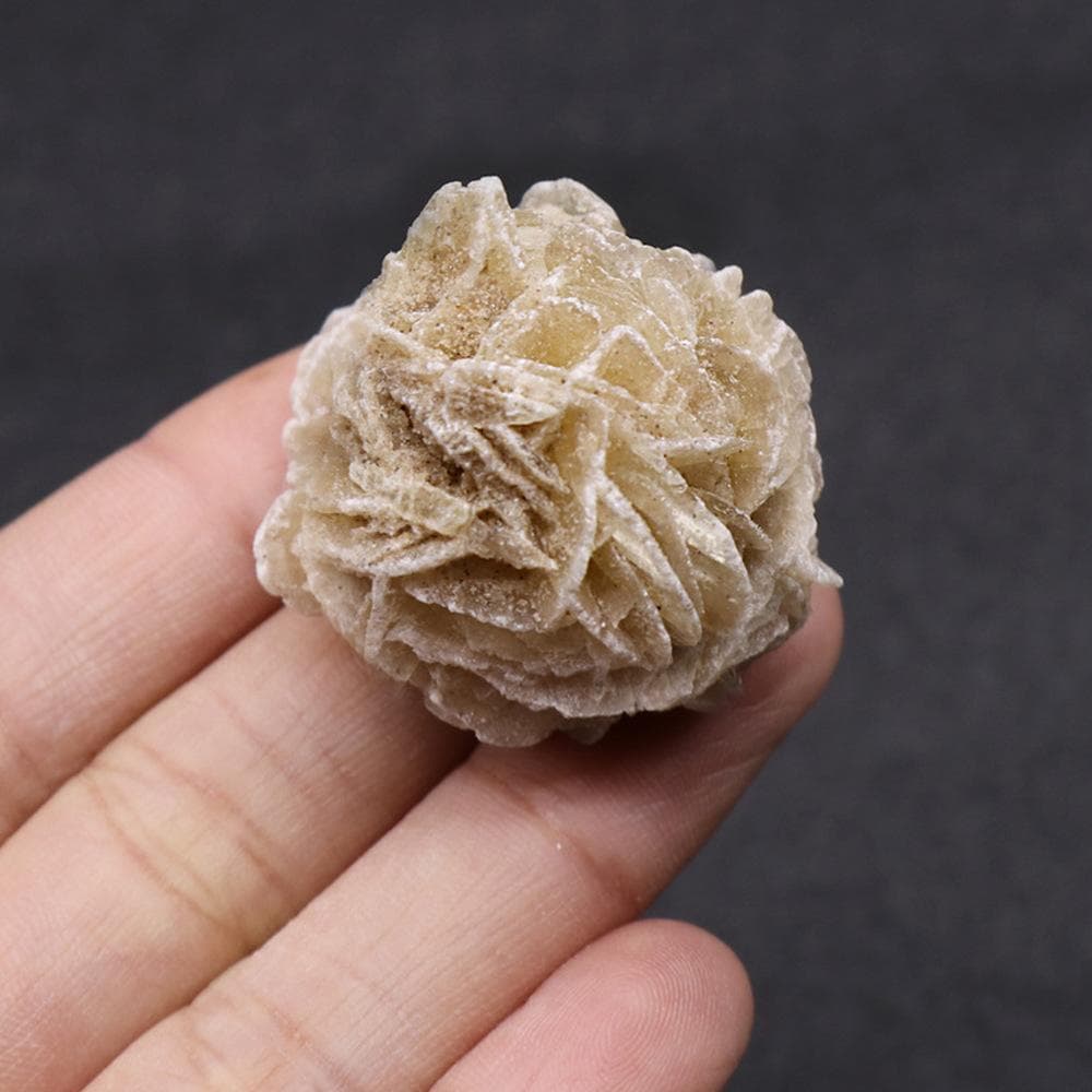 Desert Rose Selenite Stone Natural Quartz Crystal Reiki Healing Gem Mineral Specimen Adenium Obesum Home Decor Gifts 1pcs 2-3cm