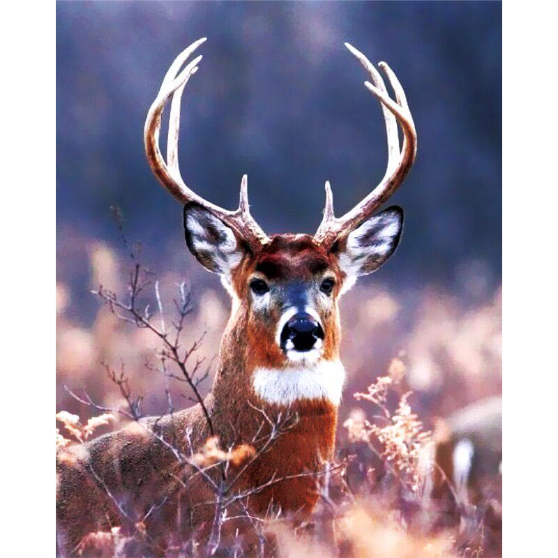 5D Diy Diamond Painting Cross Stitch Elk picture craft Drill Diamond Embroidery 20X30CM