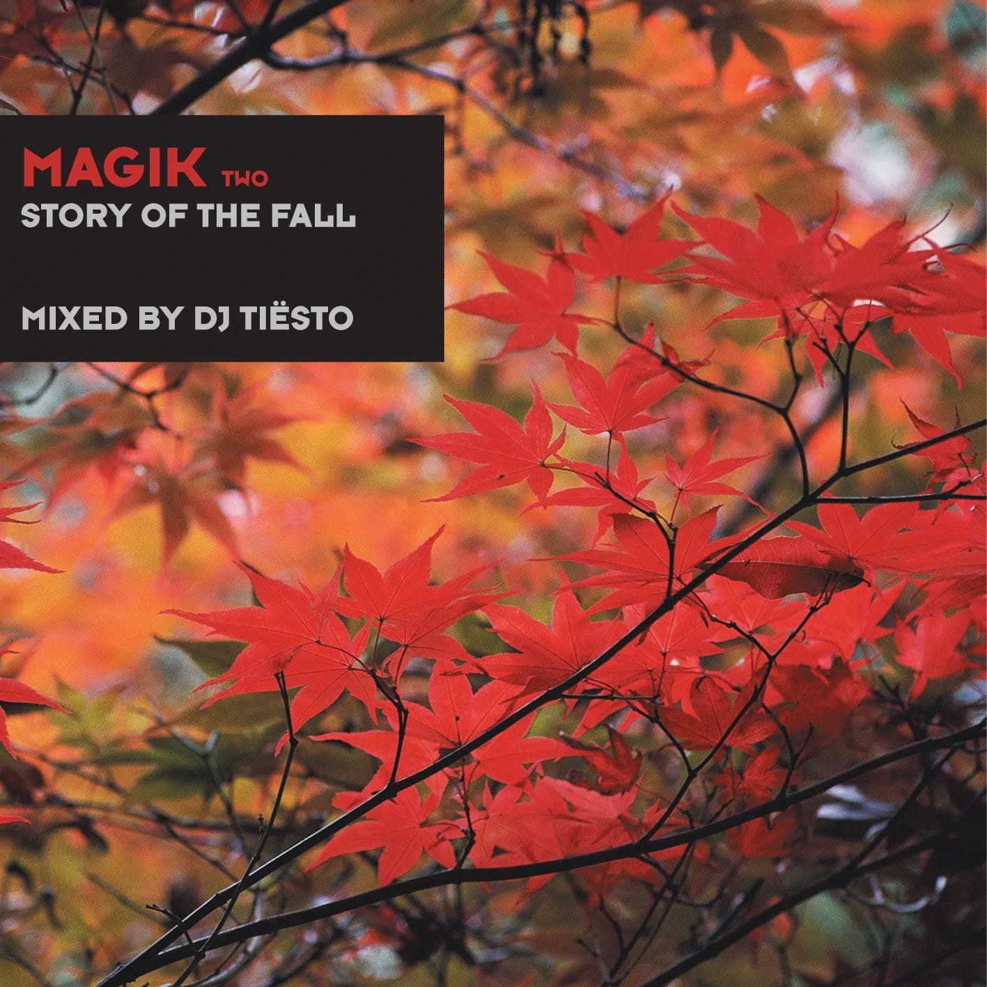 CD DJ TIESTO - Magik 2: Story of the Fall BLACKHOLECD03 Non Japan Dance & Electronica Used