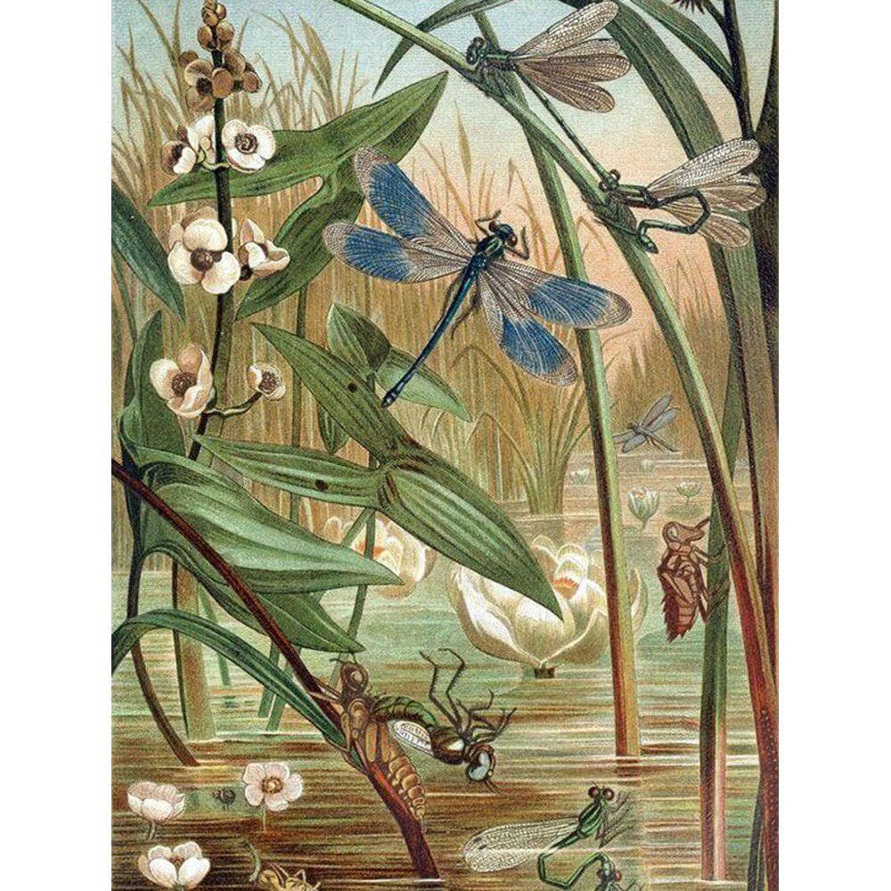 Diamond Painting Animals Dragonfly Picture Beads Diamond Embroidery Animals Painting Rhinestones 20X30CM