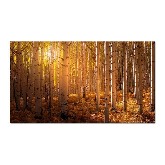 Sunrise Forest Wall Art Canvas Painting Modern Natural Landscape Posters and Prints Wall Pictures for Living Room Home Decor 40x80cm