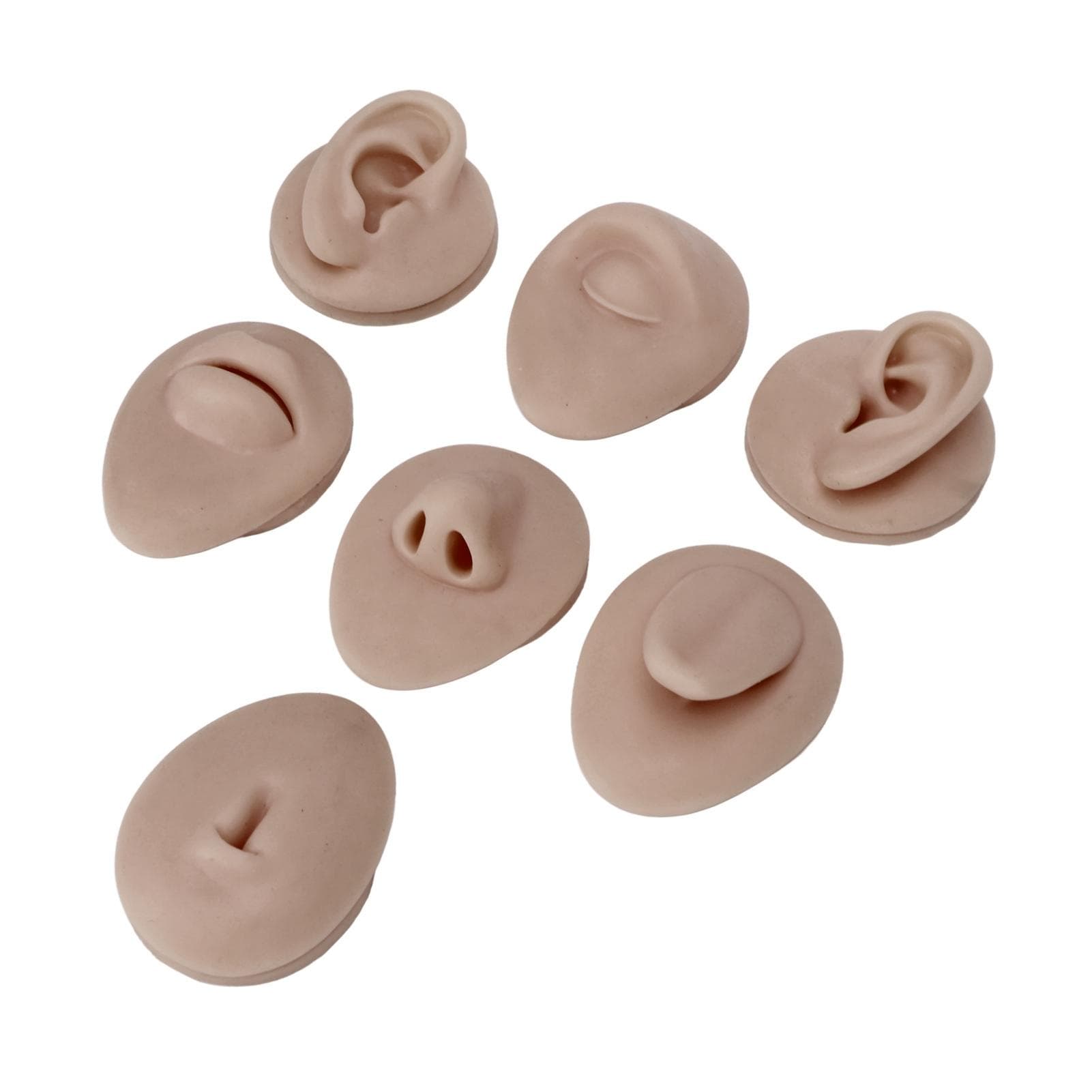 Silicone Piercing Body Model Soft Silicone Ear Mouth Nose Eye Tongue Navel Model with Display Rack