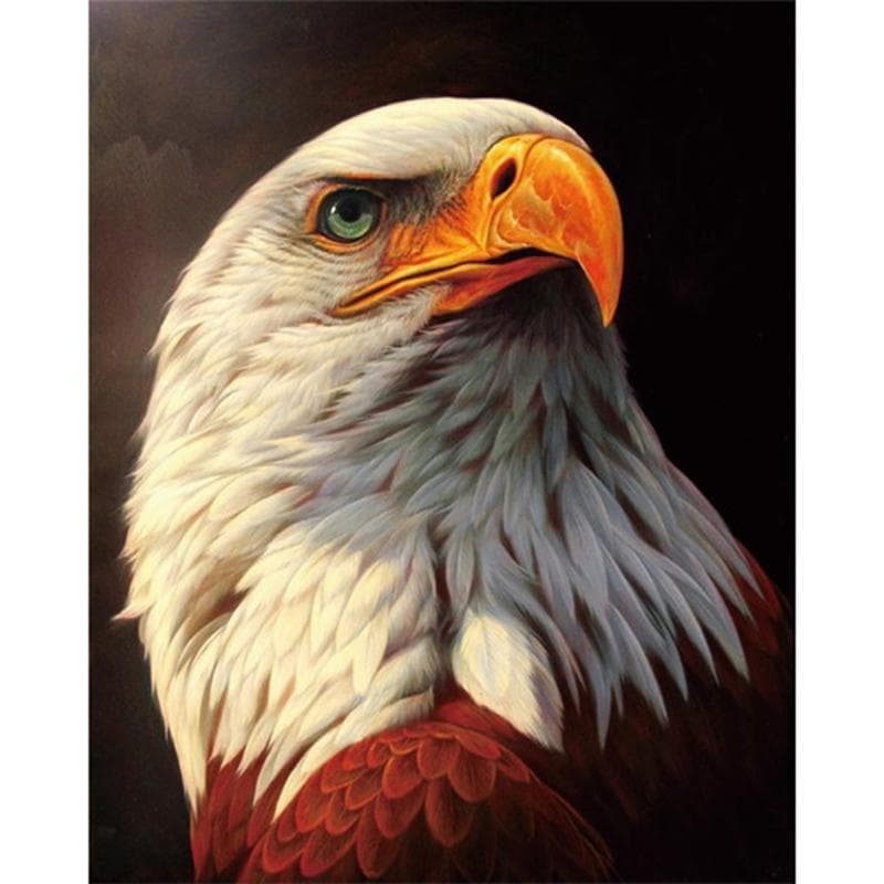 5D Diamond Painting Eagle Cross Stitch Diamond Embroidery 20X30CM