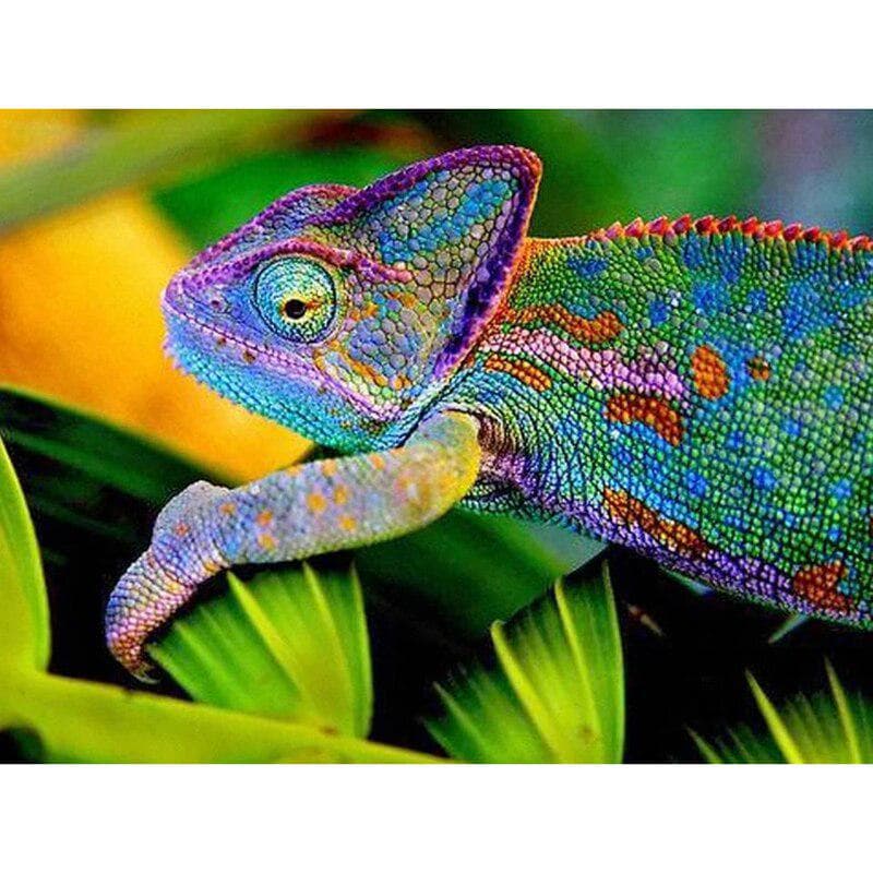 Diamond Embroidery Chameleon Full Round Diamond Painting Animal Diamond Mosaic Rhinestones Picture 20X30CM