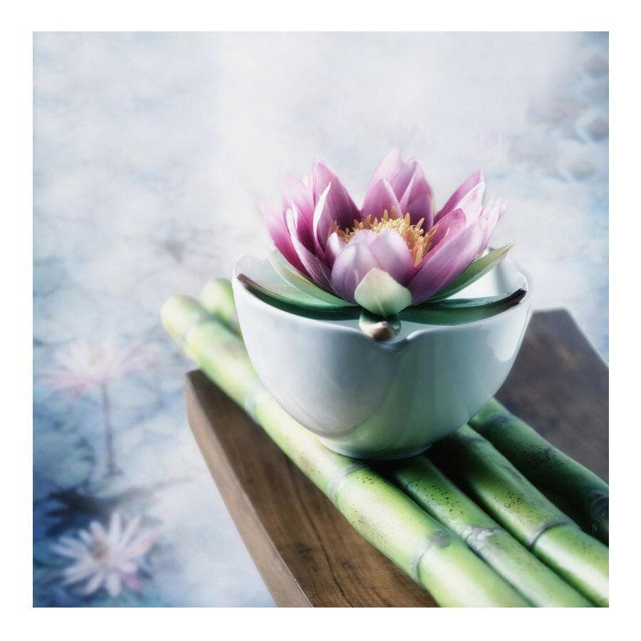 Diamond Painting Lotus Bamboo Crystal Diamond Embroidery 30x30CM