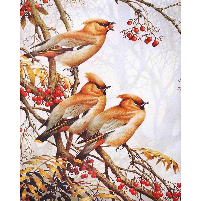Diamond Embroidery Cross Stitch Crystal Full Round Diamond Sets Unfinish 3d Diy Diamond Painting 20X30CM