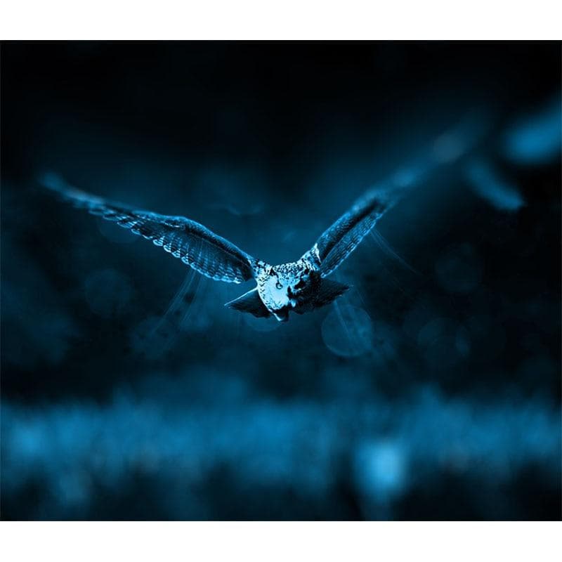 Diy Hand Made Diamond Embroidery Painting Exquisite Stitch of Mosaic Fiying Owl Picture Home Decor 20X30CM