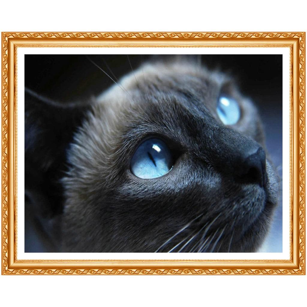 Diamond Painting Cross Stitch Kit Animal Embroidery Black Cat 3D Full Round Diamond Diy Drawing 20X30CM