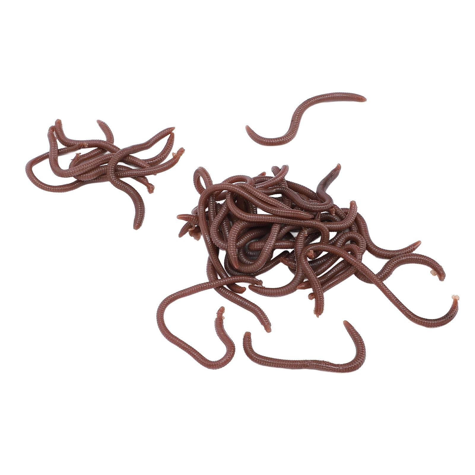 2 Boxes Worm Stick Bait Silicone Fishy Smell Artificial Fishing Lure Soft Bait for Fishing