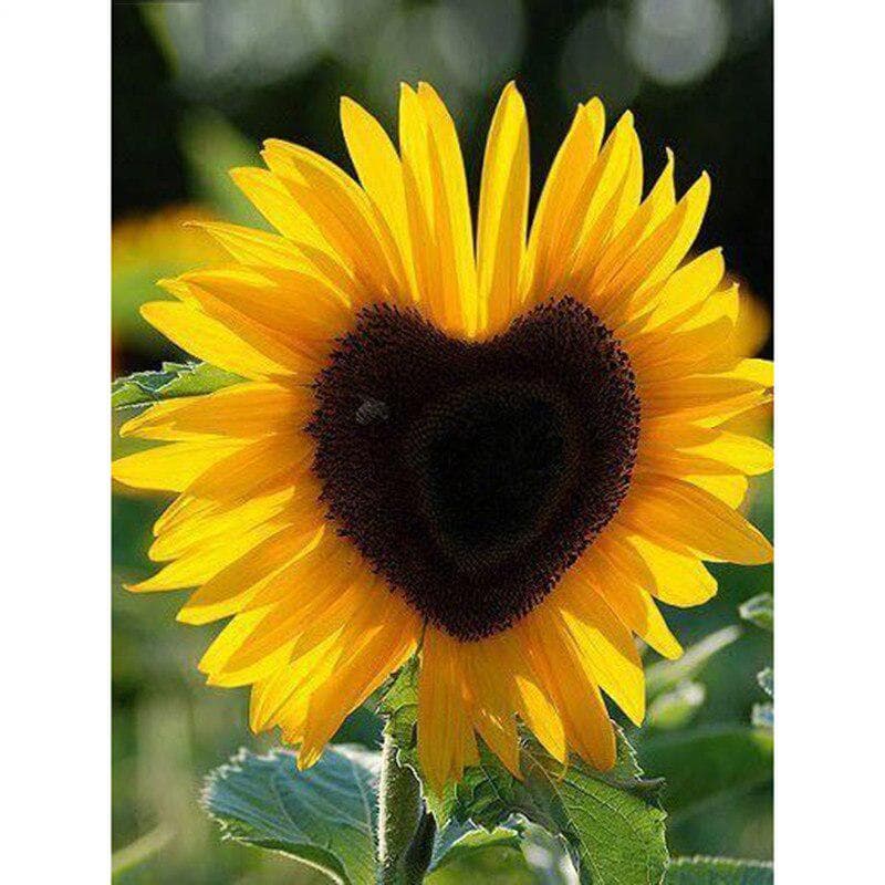 5D DIY Diamond painting Love sunflower Diamond Embroidery Mosaic Cross Stitch decoration gift 50X70CM