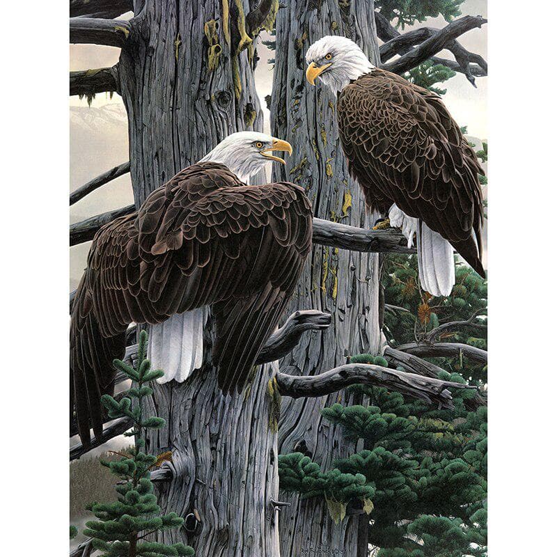 Full Round 5D DIY Diamond Embroidery Eagle Brother Diamond Painting Cross Stitch Rhinestone 20X30CM