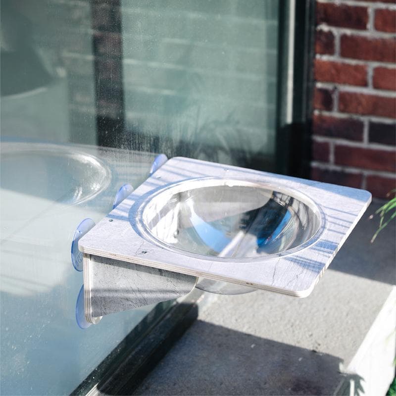 Glass Wall Cat Climbing Shelf Large Load Bearing Prevent Slip Odorless Suction Cup Window Cat