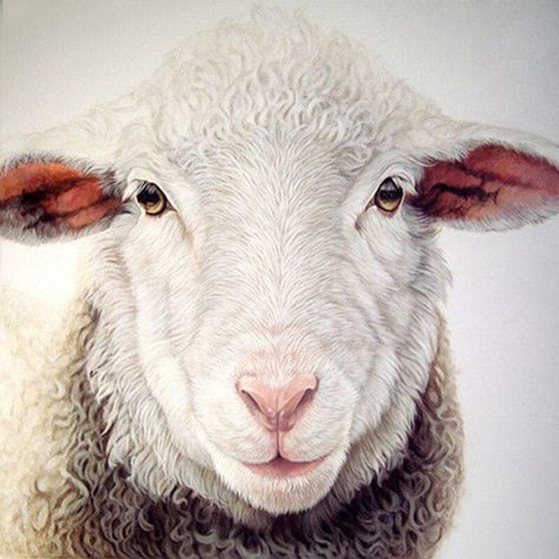 Full Round Drill Diamond Embroidery Sheep 5D DIY Diamond Painting Cross Stitch Rhinestone 30x30CM