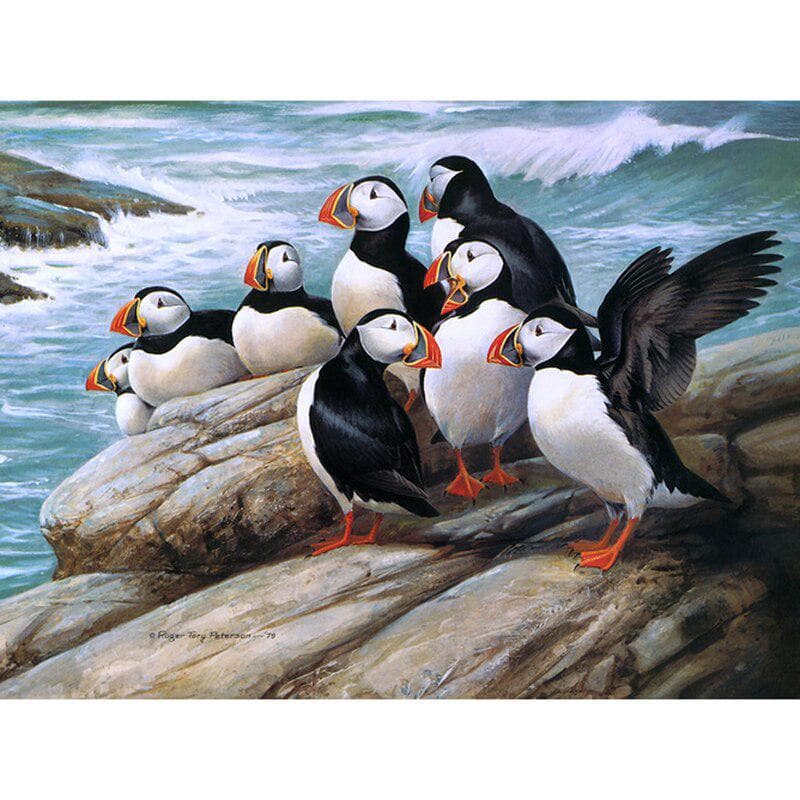 Full Round Drill 5d Diy Diamond Painting Embroidered Puffin Cross Stitch Rhinestone Decoration 20X30CM