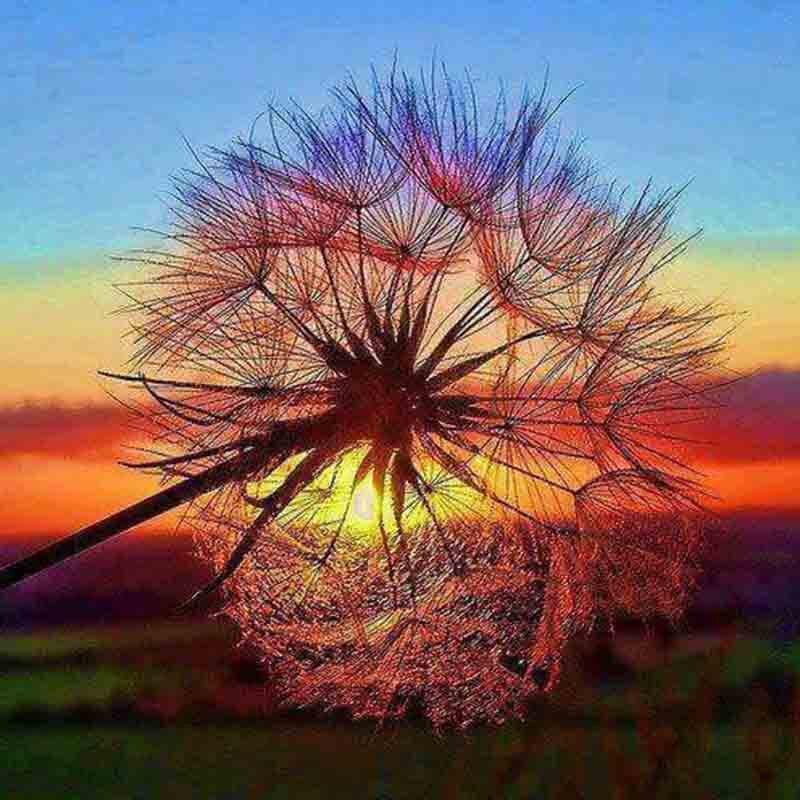 Diamond Painting Cross Stitch 5D Diamond Painting Full Diamond Embroidery Crafts Sunset Dandelion 30x30CM