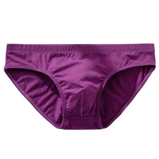 Sweat Absorbing Ultralight Man Briefs Stylish Plus Size Men Underpants 2XL purple