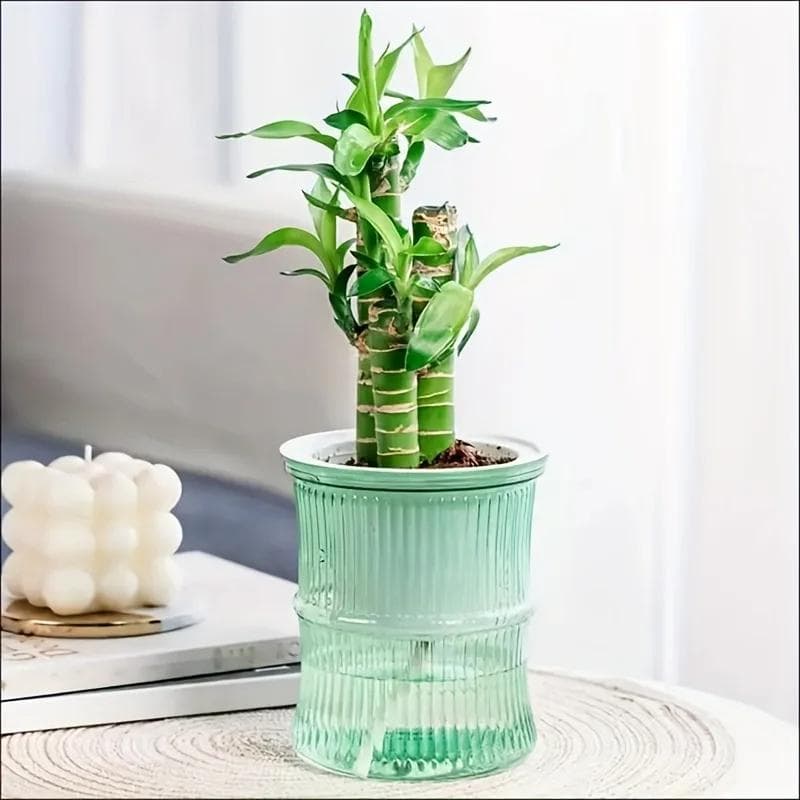 Lazy Hydroponic Flower Pot Automatic Water-Absorbing Flowerpot Transparent Double Layer Plastic Self Watering Planter Office green