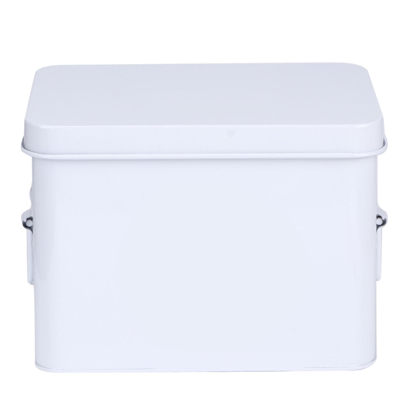 Multifunctional 2-Layer Family Medicine Box Case Storage Organizer for Household Emergency Use