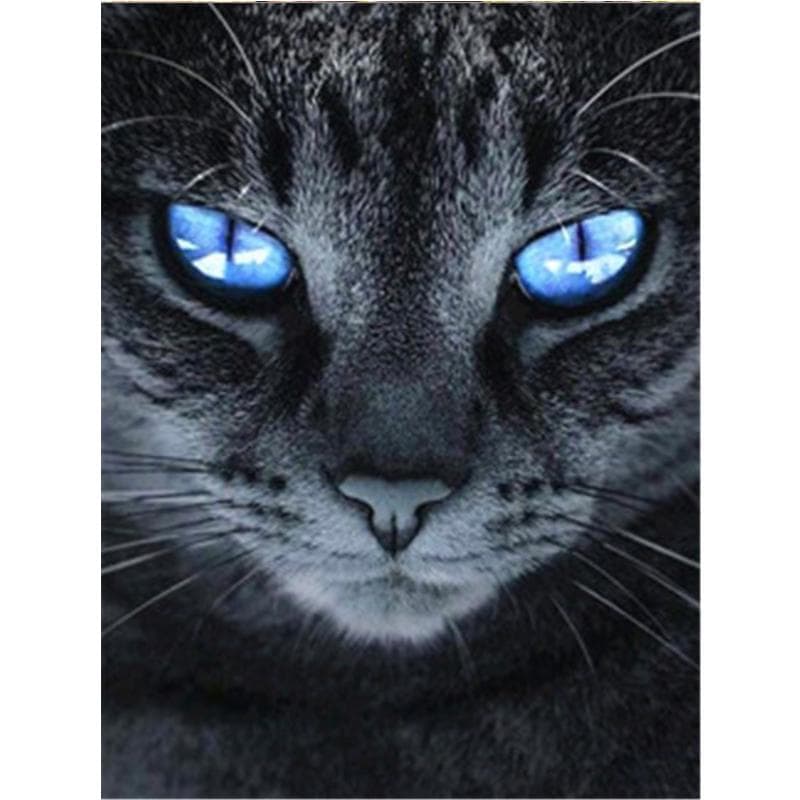 Full Diamond Painting Cat 5D Diy Diamond Embroidery Animal Mosaic Picture Home Decoration 20X30CM white