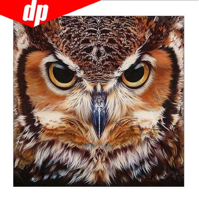 Diamond Embroidery Animal Owl 5D Diamond Painting Cross Stitch 25x25