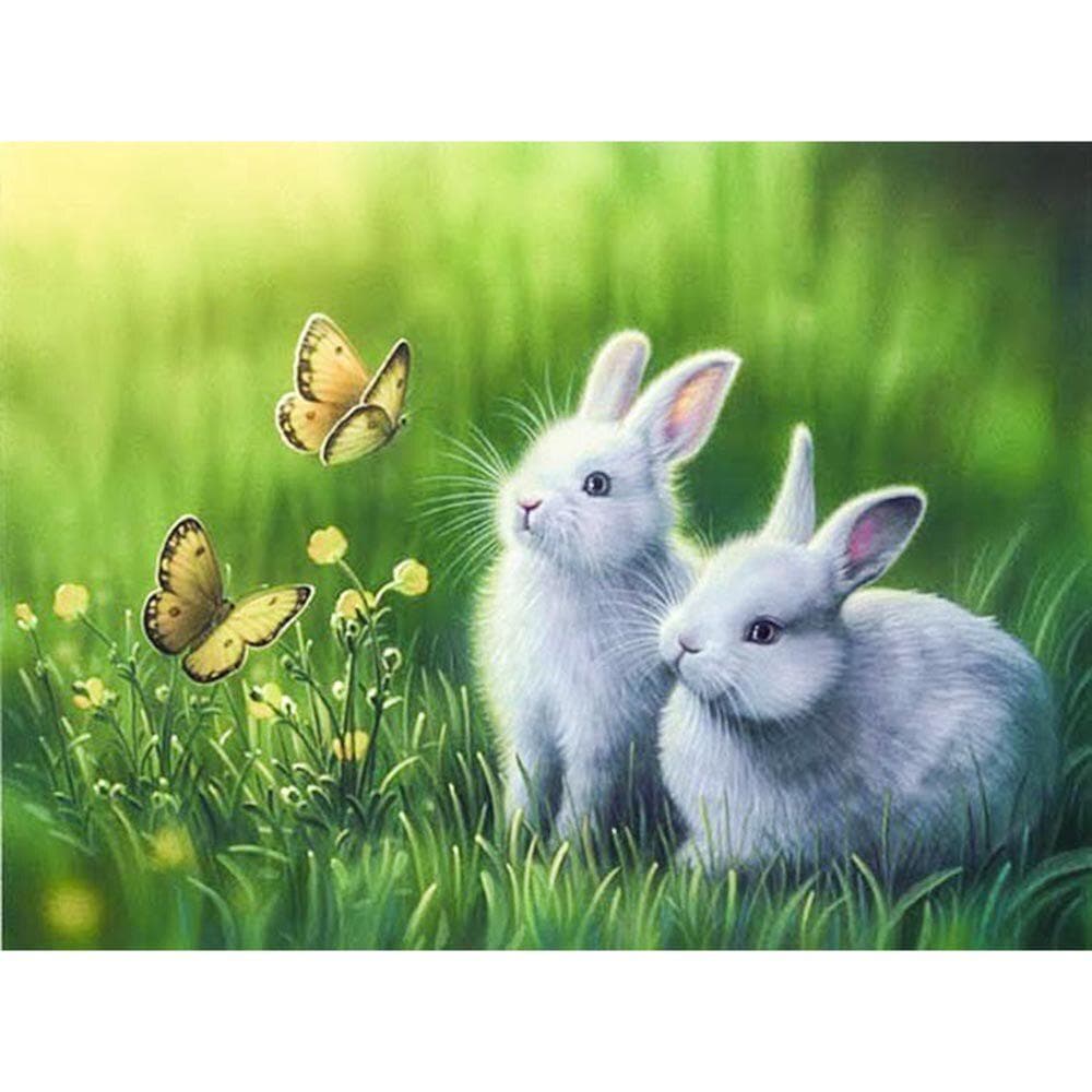 Round Diamond Painting White Rabbit Embroidery Cross Stitch Rhinestone Mosaic Home Decor 20X30CM