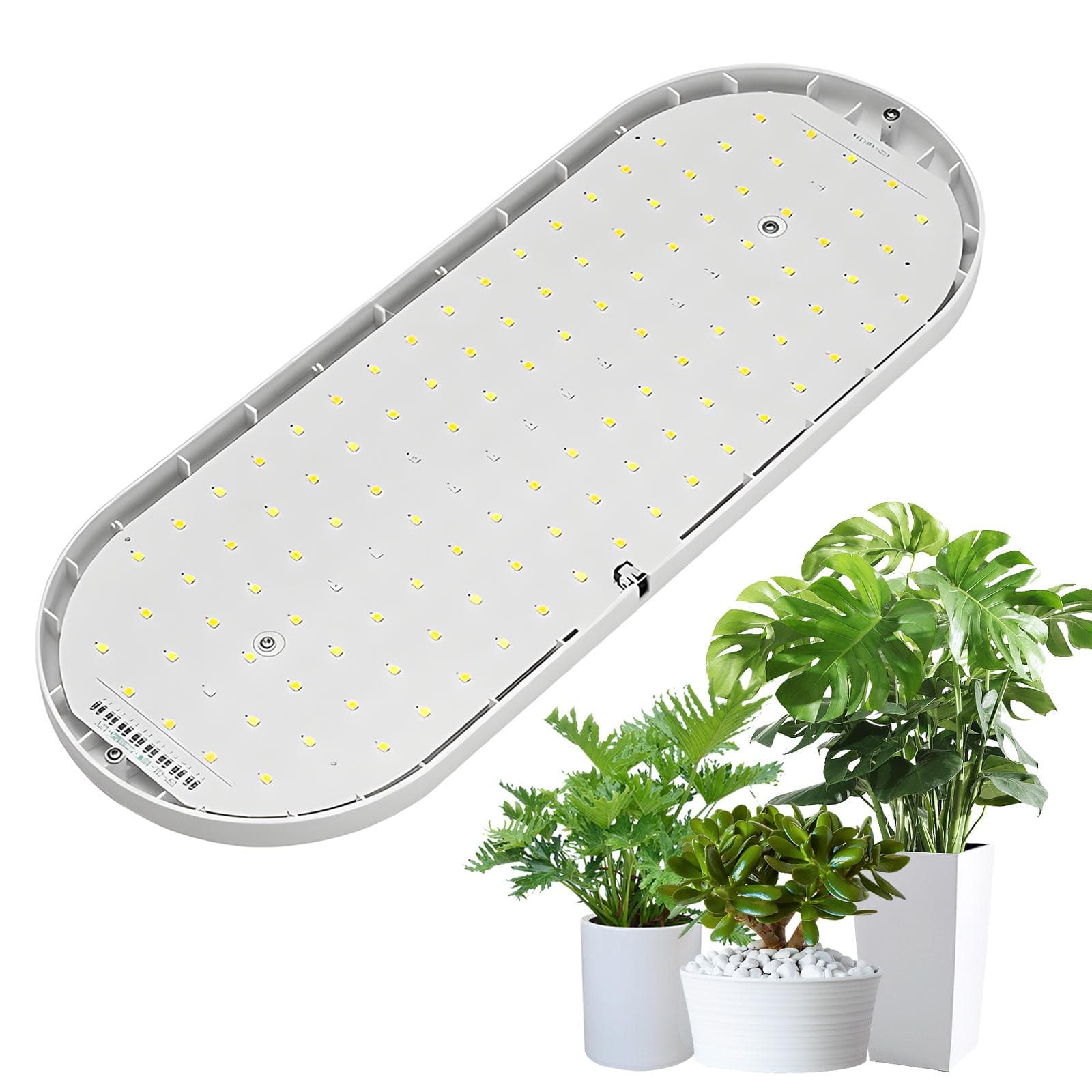 LED Grow Light Full Spectrum 10W 2H/4H/8H Timer 4 Dimmable Levels Plant Lights for Indoor Plants UK Plug white