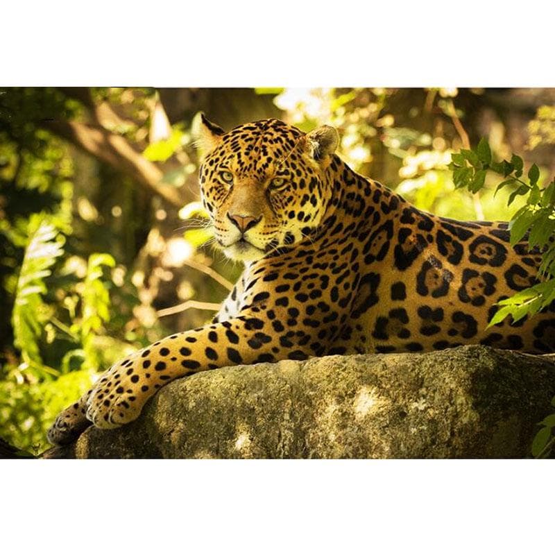 Diamond Painting Lazy Big Cat - Panther King Diamond Embroidery Cross Stitch Rhinestone 20X30CM