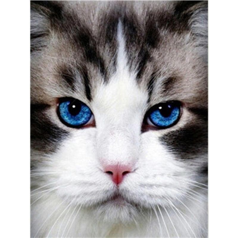 5D Diamond Painting Cat Rhinestones Diamond Embroidery Mosaic Full Round Drill Cross Stitch 20X30CM